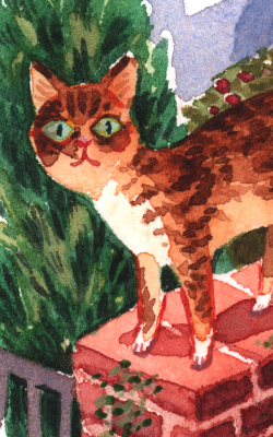 Orange cat - Watercolour, 2020